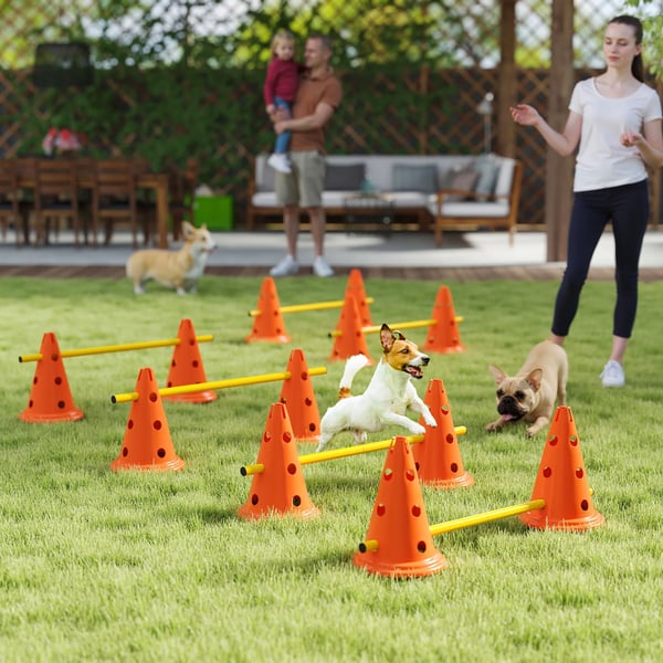 Hund Agility Set - 6 delar Orange Plast - Träningsutrustning för Hundar med Hinder och Koner