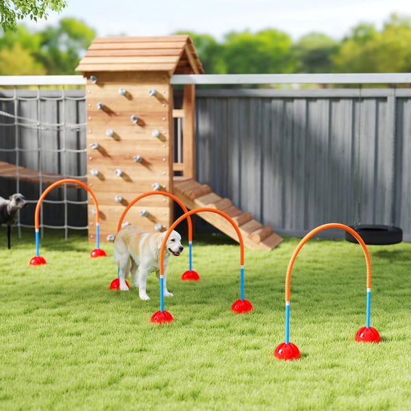 Hund Agilityset 4-delat med justerbara hinder i Blå/Orange, Plast, med väska