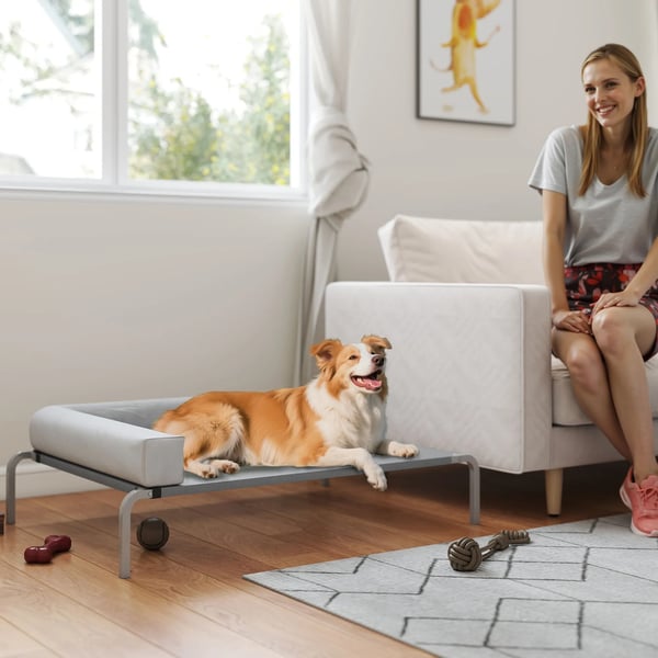 Forhøjet Hundeseng Udendørs, Lysegrå Hundesofa med Kølende Net og Pude, 110x75x30cm