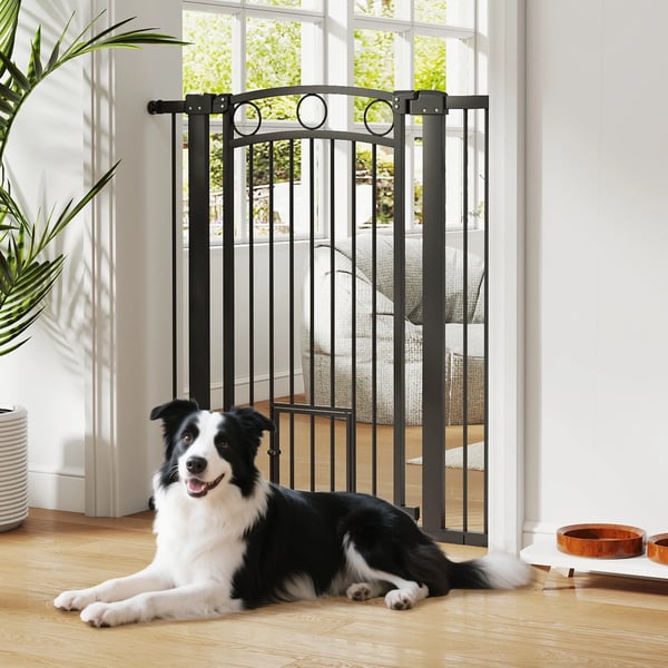 Husdjursgrind i plast, 106 cm H, justerbar bredd 76-104 cm, kattlucka, svart