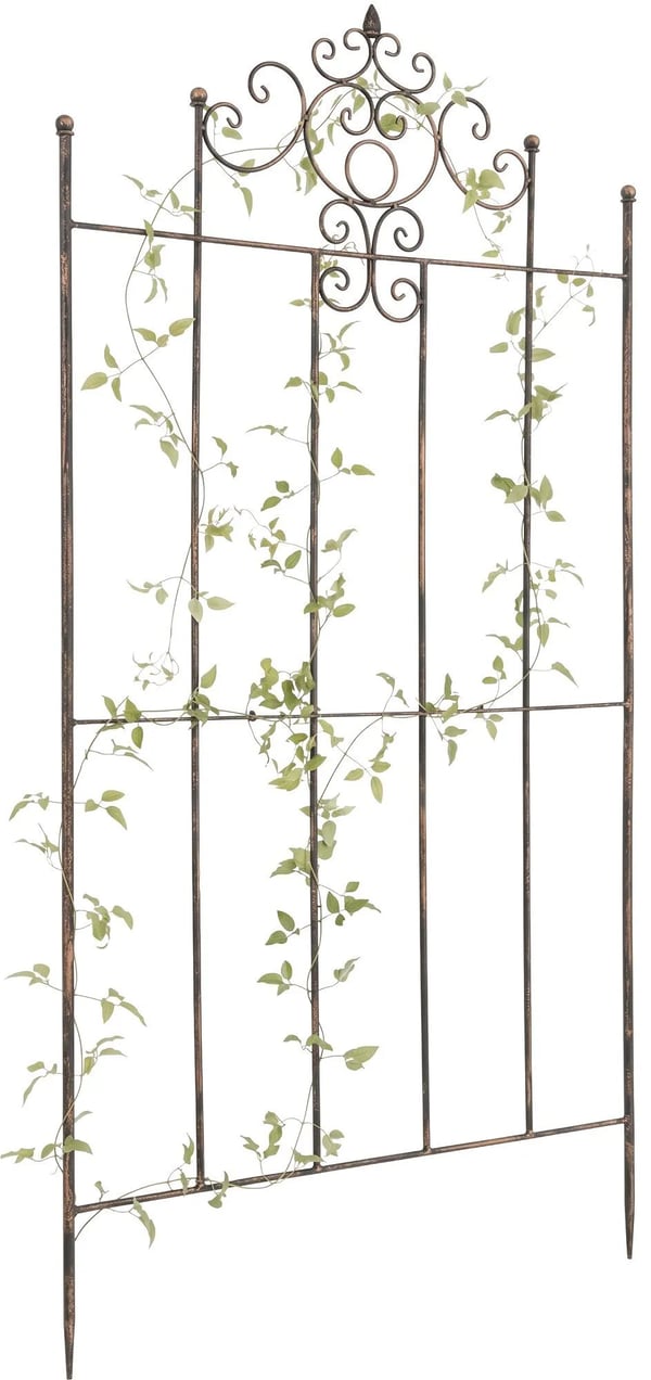 Paula Ruostumaton Metalliteline Ruskea (170x86cm)
