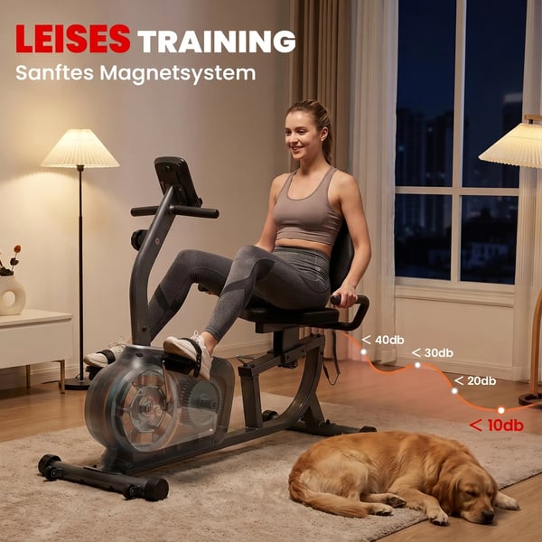 Liggecykel Træningscykel med LCD, 8-trins justerbar magnetisk modstand, stål & ABS, grå/sort/sølv