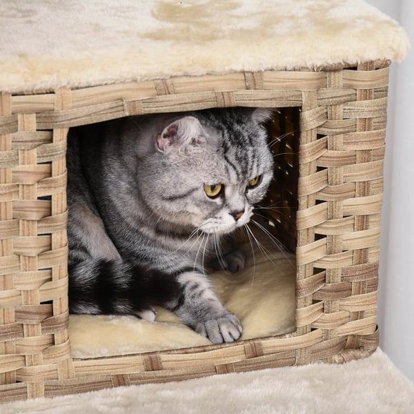 PawHut Kradsetræ til Katte med Liggepladser i Polyrotting og Plys - Beige/Brun 55 x 55 x 174 cm