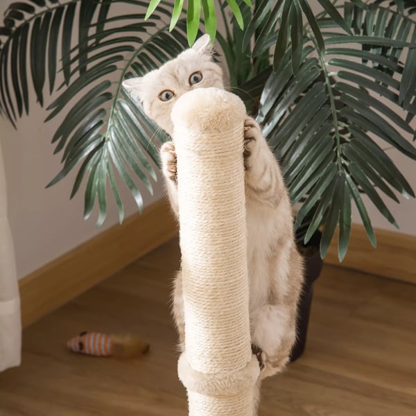 PawHut Kradsetræ Sisal pinde Bold Beige Eg 60cm