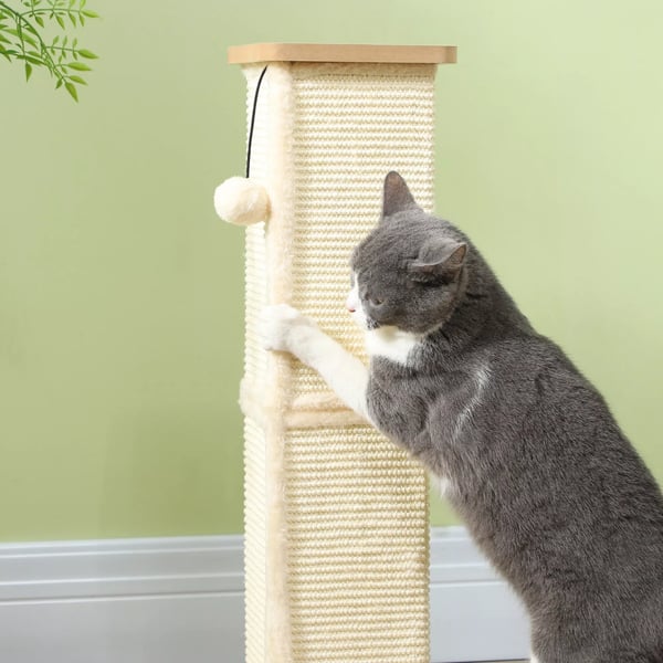 PawHut 3-in-1 kissan raapimispuu tammenvärinen MDF 67cm sisalilla ja leikkipalloilla