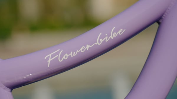 sun baby FLOWER BIKE Barncykel 20 tum - 6 växlar, V-bromsar, pakethållare, stänkskärmar, justerbar styre och sadel - Lavendel