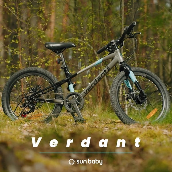 20 tuuman pojan kevyt MTB-pyörä Shimano 6 vaihteella VERDANT Alder