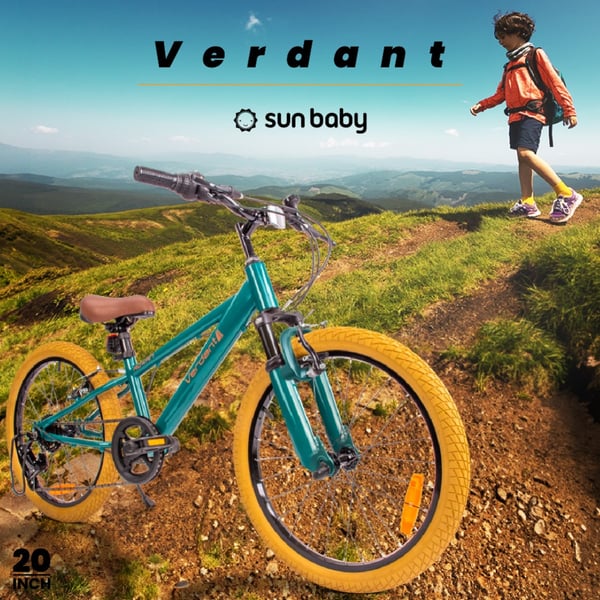 20 tuuman pojan kevyt MTB-pyörä Shimano 6 vaihteella vaimennin VERDANT Rowan SHOX