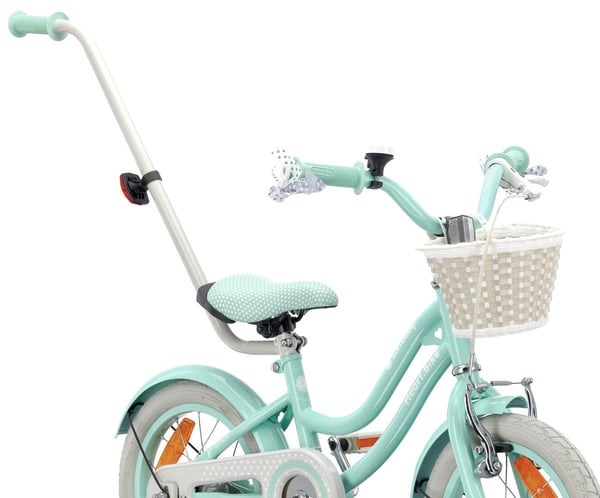 Heart Bike Flickcykel för en flicka 12 14 16 tum, Barncykel 2-6 år, Barncykel med stödhjul, pushbar, justerbar sadel och styre (Silver Moon Mint, 14 t