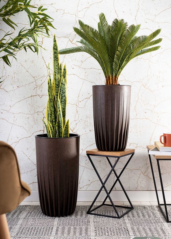 Stripped Tall ECO Coffee blomkruka