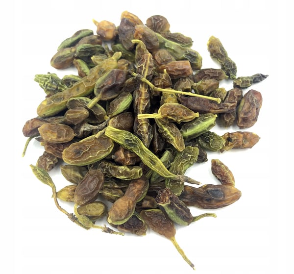 Sophora-hedelmä, japanilainen pagodipuu, 200 g luonnollinen