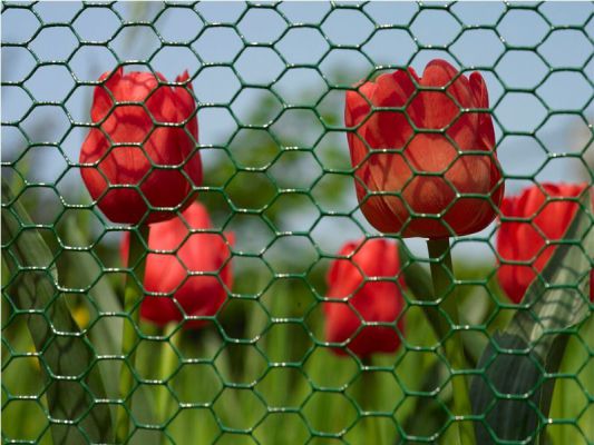SEKSKANTET NET I PVC-TRÅD 0,9 MM 100 CM * 25 MB NET 20 MM - 25,0 MB - S-B 2940172