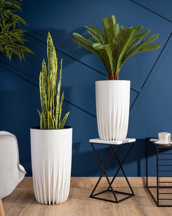 Avskalad Tall ECO Recycling blomkruke