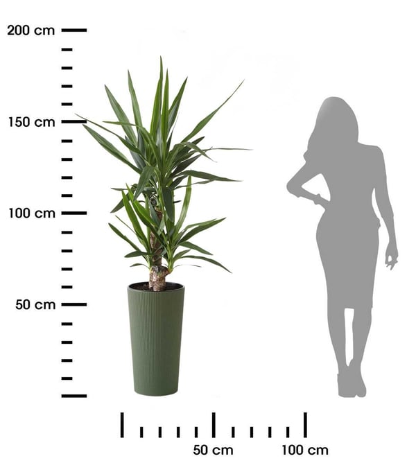 Urbanika ECO träblomkruka grön h57 cm