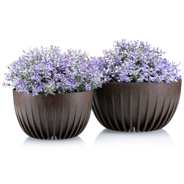 Avskalad ECO kaffeespresso blomkruka