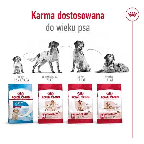 Royal canin shn medium adult bf 15kg
