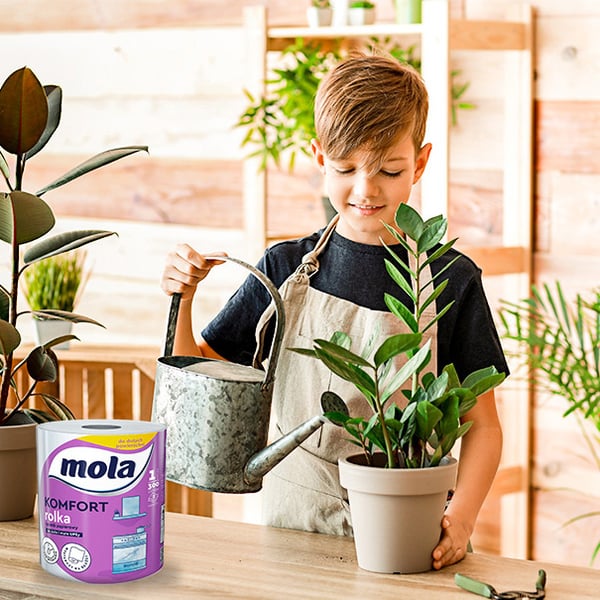Mola Comfort Papirhåndklæde 300 ark 2-i-1
