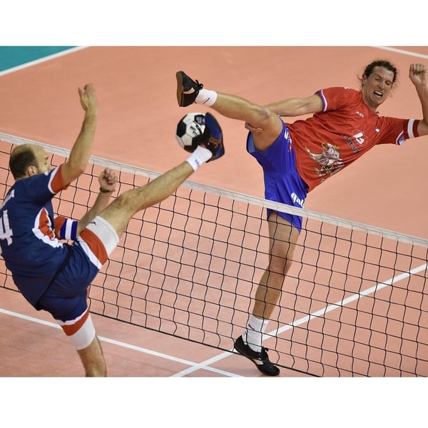 Fotbollsnät - volleyboll MASTER 9,5 x 1 m - svart