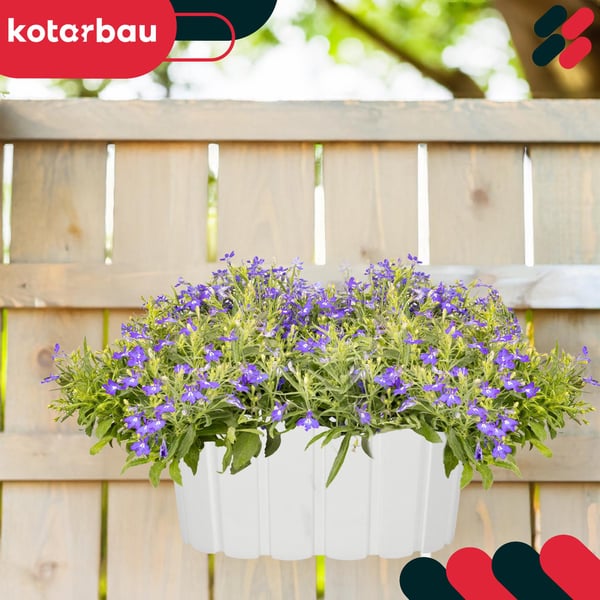 Parvekkeen kukkaruukku kaiteeseen ripustettavaksi, maalaismainen valkoinen, 20 cm, 6 kpl