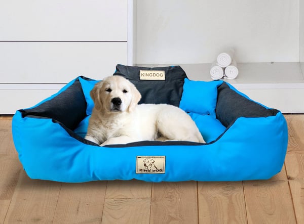 Hundeseng kennel KINGDOG 55x45 cm personaliseret vandtæt blå