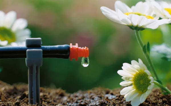 Gardena M 13002-20 automatisk startset til krukplanter