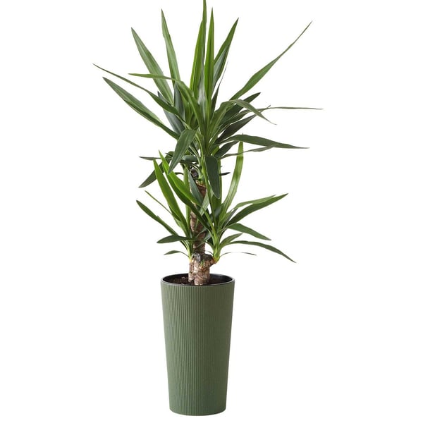 Urbanika ECO träblomkruka grön h46 cm