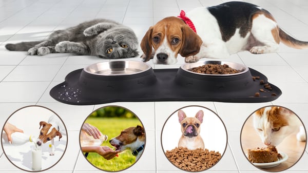 Dubbel skål för hund och katt med halkfri matta