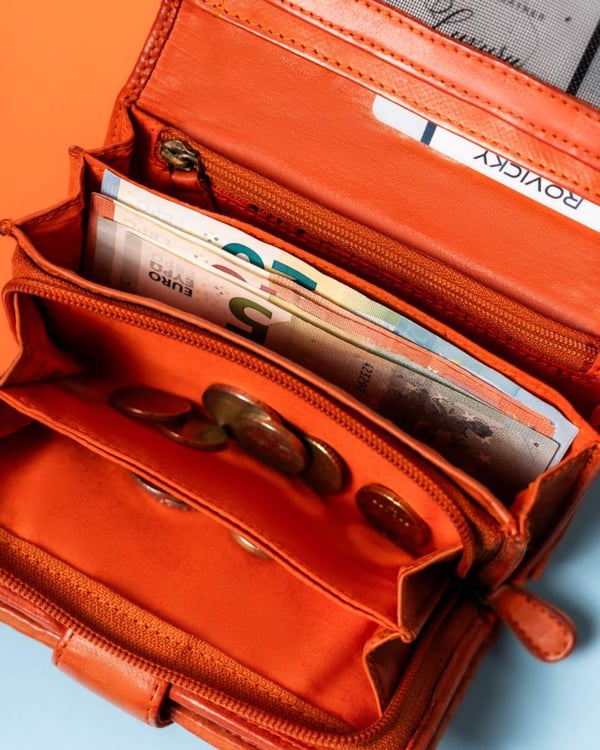 Damplånbok i läder R-N19-ZPT-7293 Orange