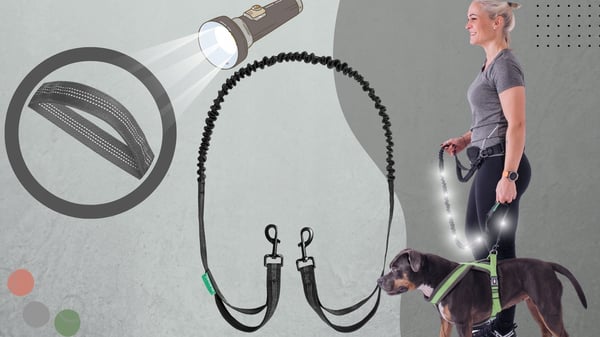 Elastiskt hundkoppel med stötdämpare för löpning