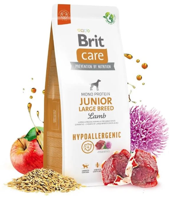 Brit Care Dog Hypoallergenic Junior Large Lamm 12kg