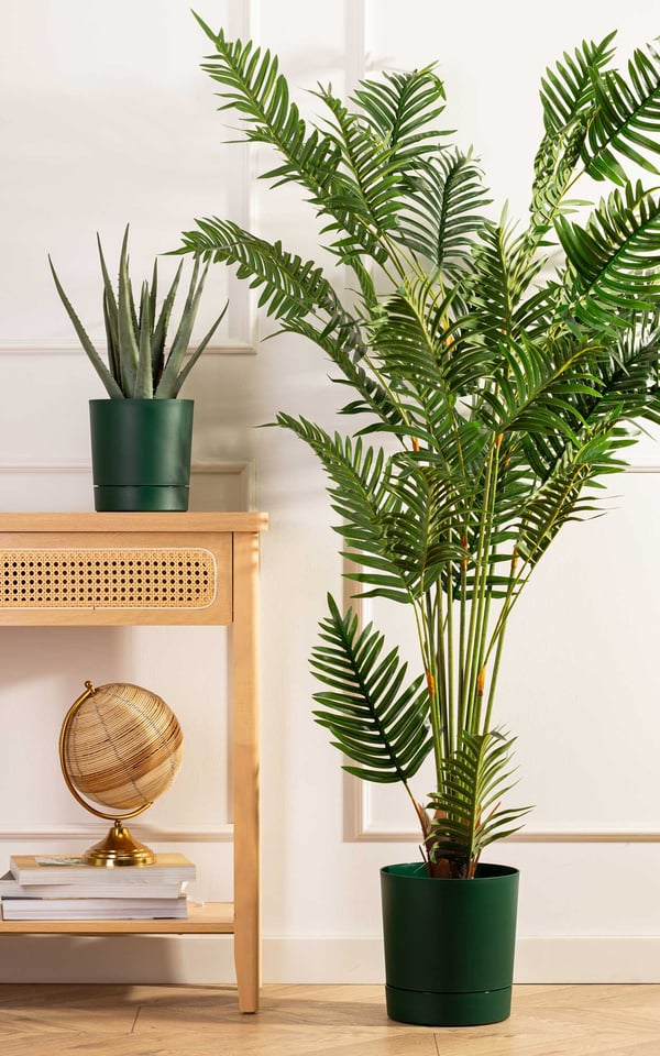 Azalea avocadopotte med underkop 22 cm