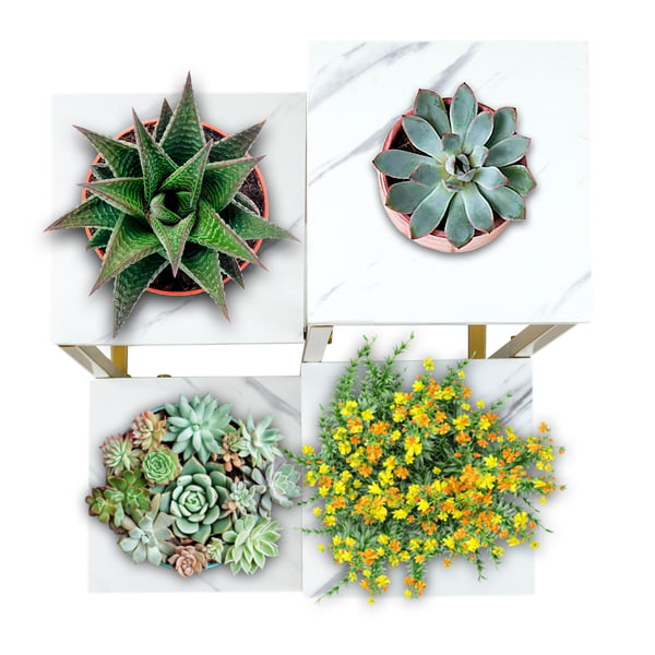 Stående blomsterstativ, metalhylde, blomsterstativ, planter, potter, 4 niveauer