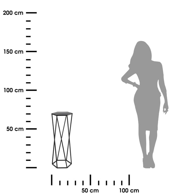 Kukkateline kasveille musta 70 cm