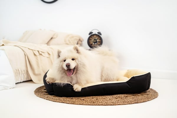 Hundeseng kennel ECCO 130x105 cm vandtæt beige