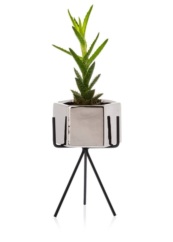 Sashi Sølv Urtepotte 18,5 cm