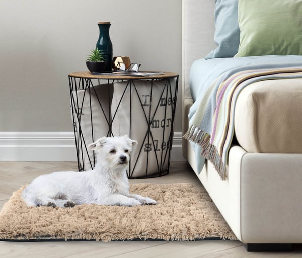 Tæppe Shaggy Antiskrid 80x120 cm Beige