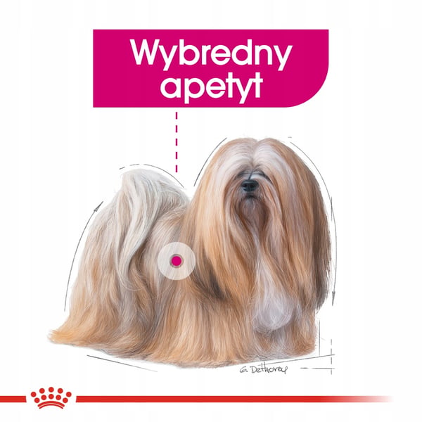 ROYAL CANIN Mini Exigent 3 kg
