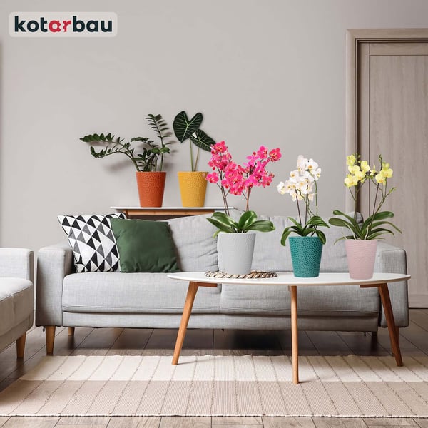 KOTARBAU® Sæt med hvide urtepotter 15 cm med grøn støtte 58 cm til blomster Keramik urtepotte Plastikstøtte til planter Orkidésæt