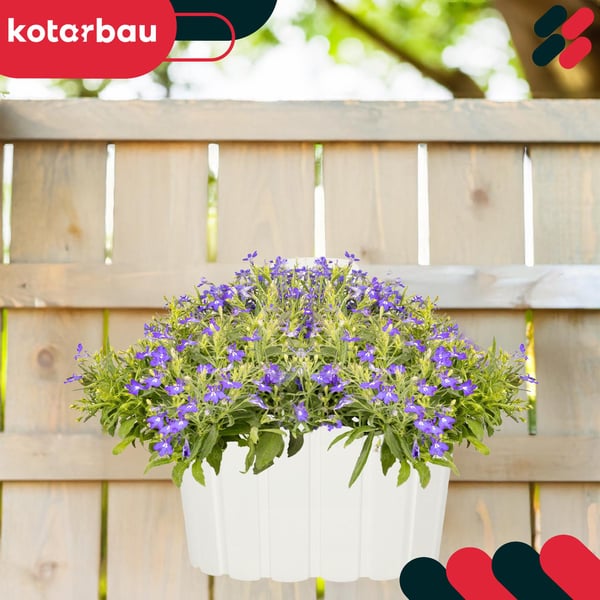 Vägghängande blomkruka för väggmontering rustik vit 20 cm 6 st