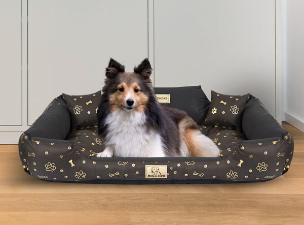 Hundeseng kennel KINGDOG 100x75 cm personaliseret vandtæt guld ben