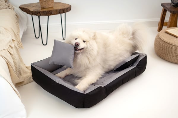 Hundeseng kennel ECCO 100x75 cm vandtæt grå