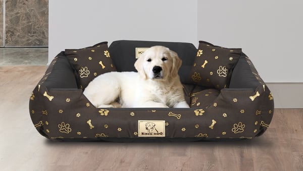Hundeseng kennel KINGDOG 75x65 cm personaliseret vandtæt gyldne ben