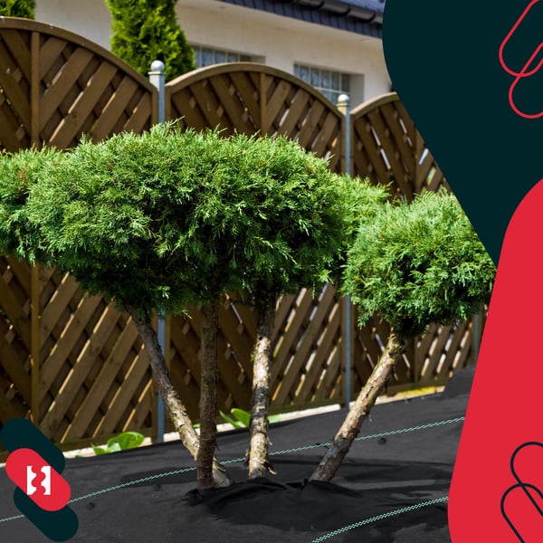 KOTARBAU® ogrässkyddande trädgårdstextil universal svart 70 g/m² 1,1 x 100 m med pinnar