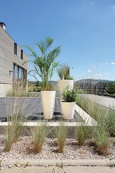 MATUBA BLOMSTERKRUTA - VIT - PP-DBMT300B