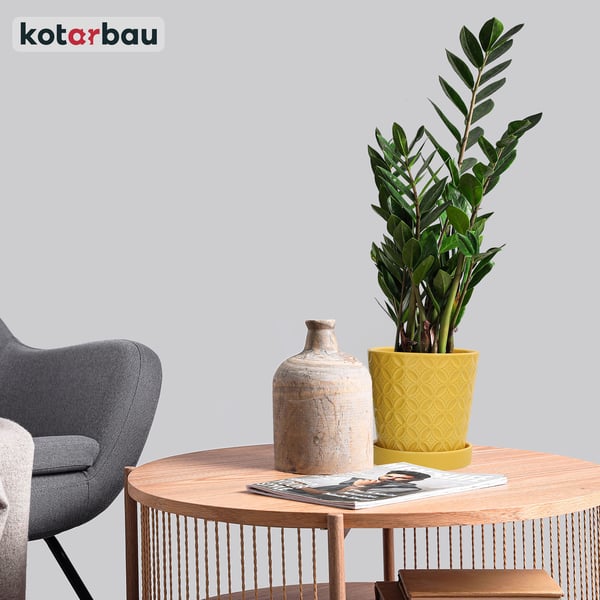 KOTARBAU® Rund senapsfärgad kruka 13 cm blomkruka med fat glaserad keramik växt- och örtkruka