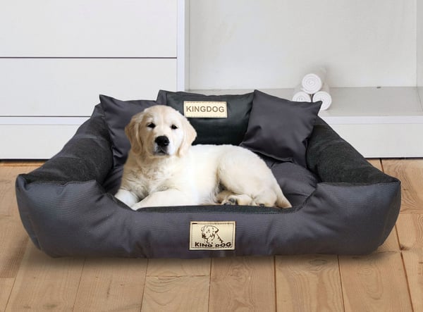 Koiran sänky ja aitus KINGDOG 145x115 cm personalisoitu vedenpitävä musta