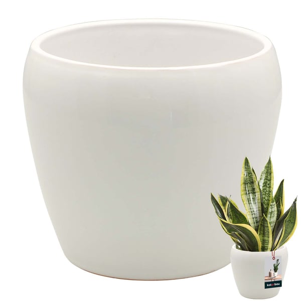 KOTARBAU® Urtepotte 13,5 cm Hvidglaseret Keramik Urtepotte Blomster- og Urtepotte Dekorativ Låg Balkon Urtepotte