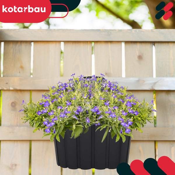 Vägghängande blomkruka med väggfäste antracit 20 cm 4-pack