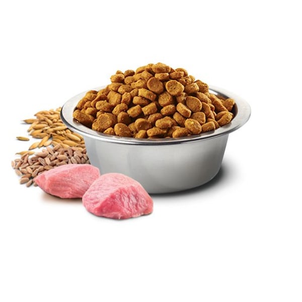 Torrfoder FARMINA Ancestral Grain Selection Adult 15kg