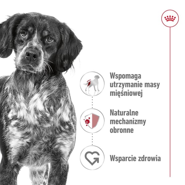 Royal canin shn medium adult bf 15kg